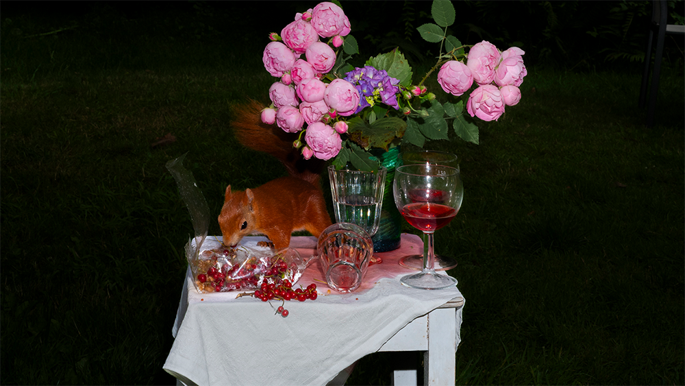 Photographie Lia Darjes Plate_XIII_2020