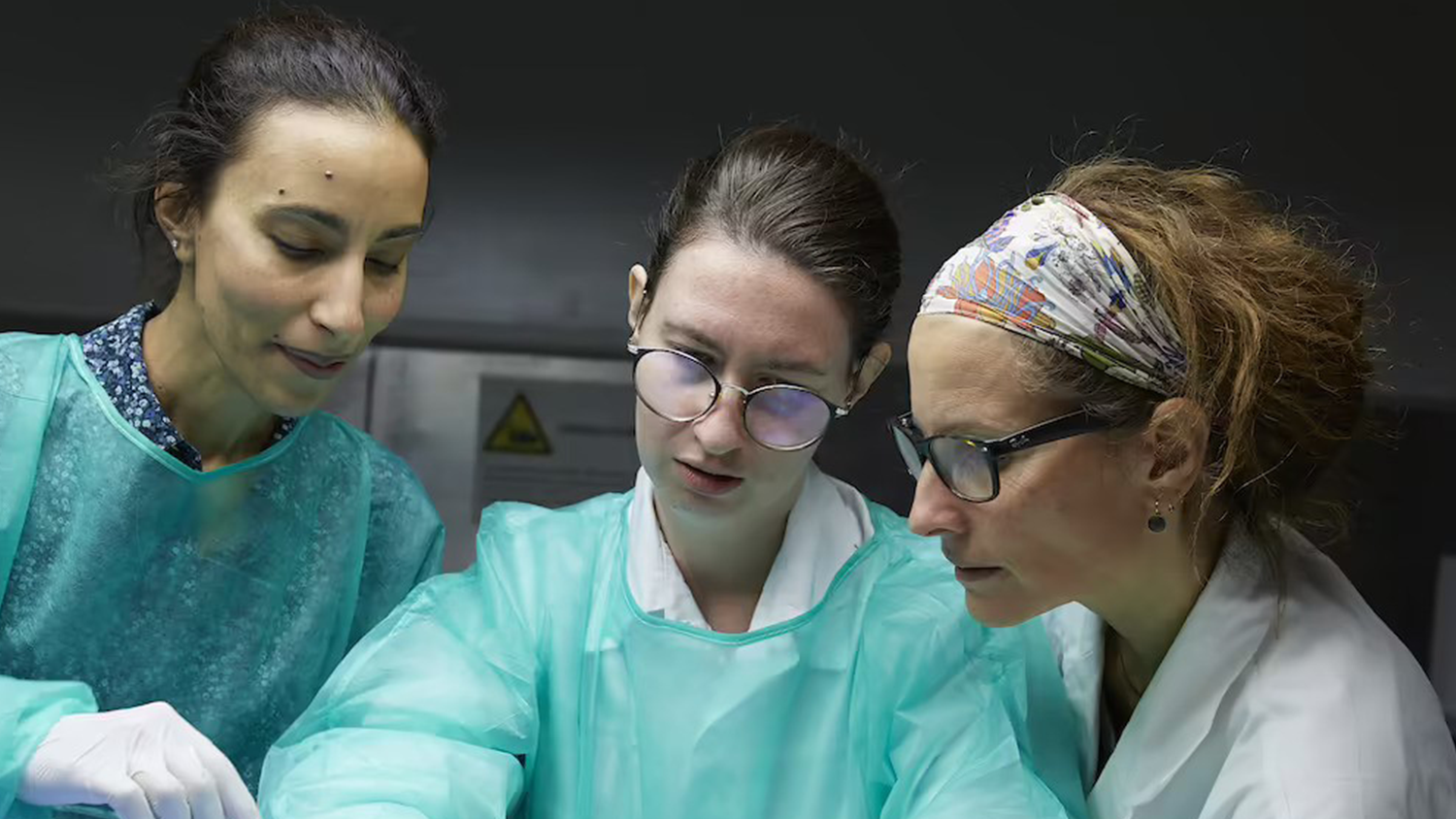 ©NathalieMastail-Hirosawa