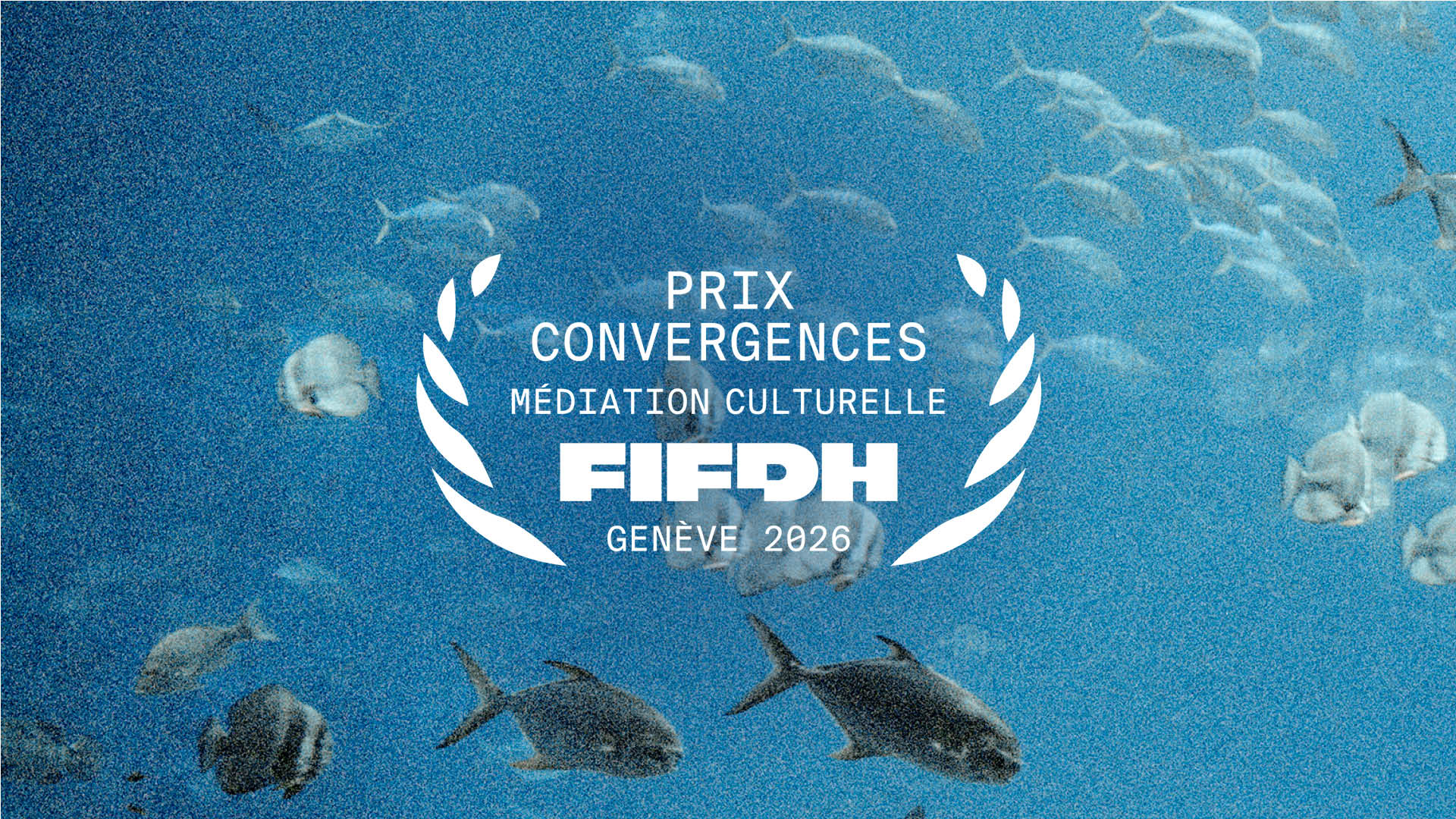 Photo ©Mattogrosso<br />
